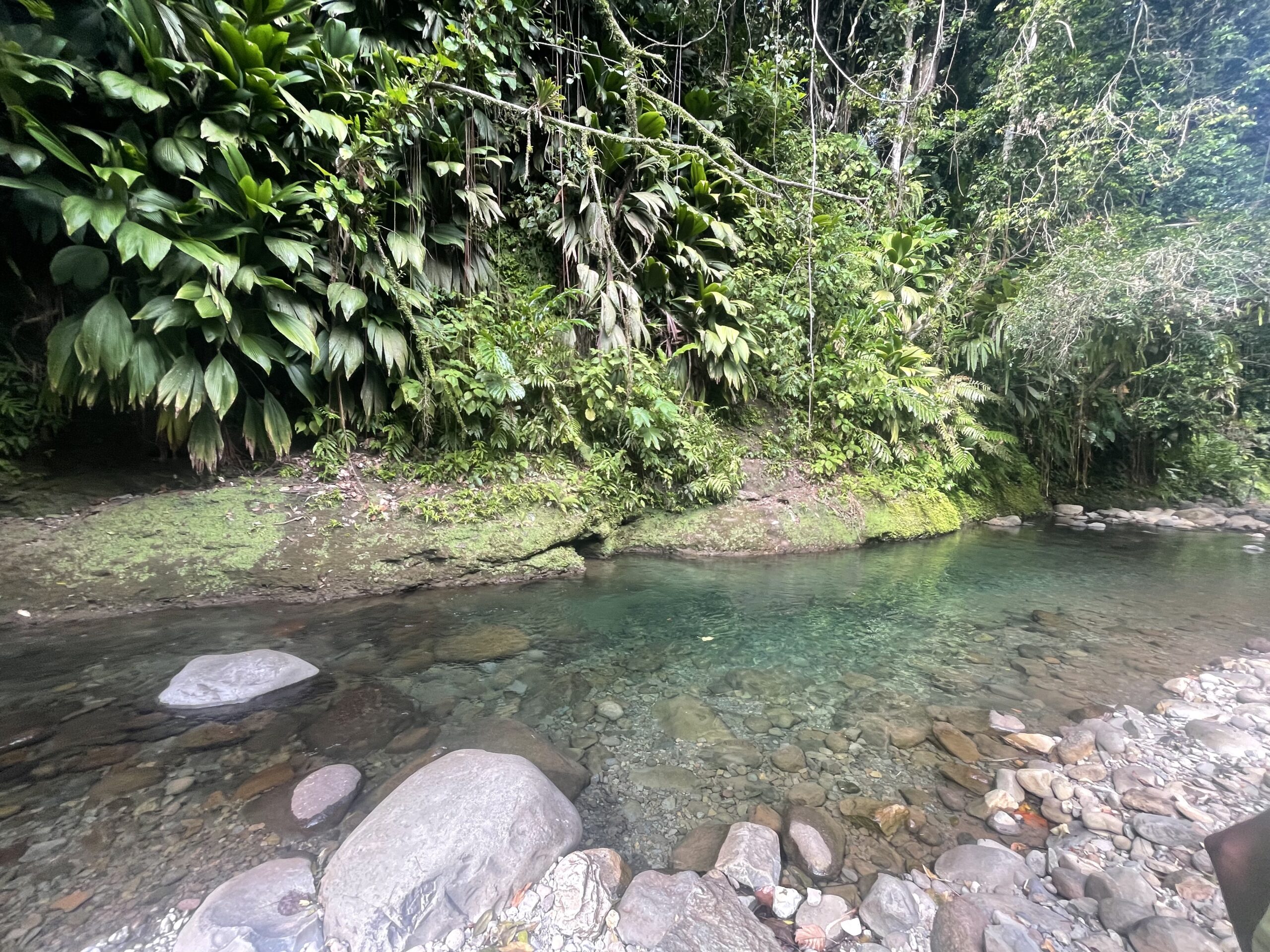 Photo 03-02-2026 15 09 54